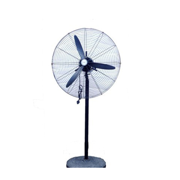 FAN11