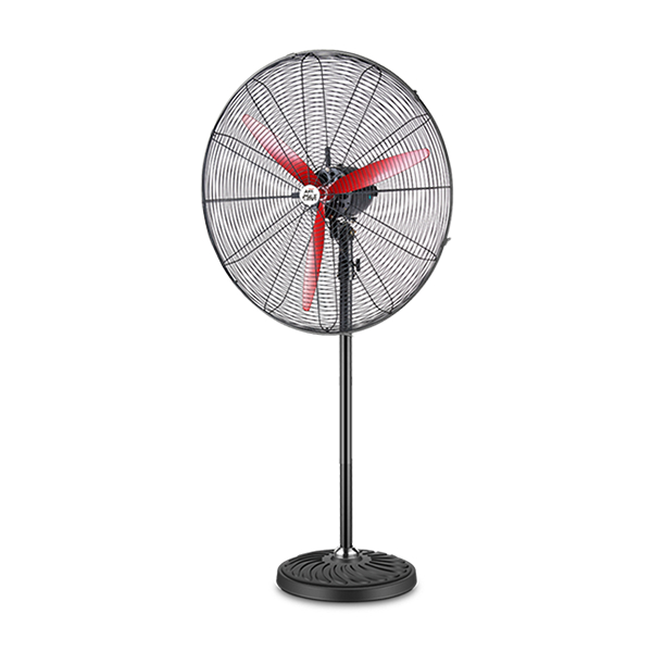 FAN12